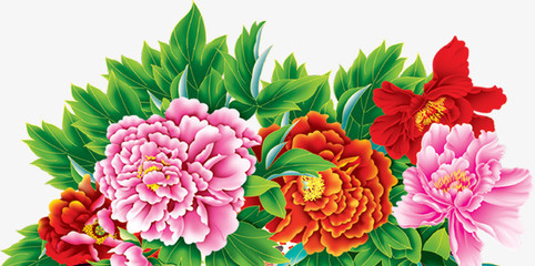 牡丹花開富貴圖 免費高清PNG素材，點綴你的創(chuàng)意設計